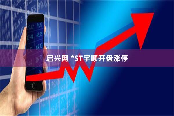 启兴网 *ST宇顺开盘涨停