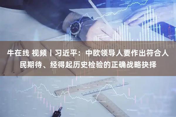 牛在线 视频丨习近平：中欧领导人要作出符合人民期待、经得起历史检验的正确战略抉择