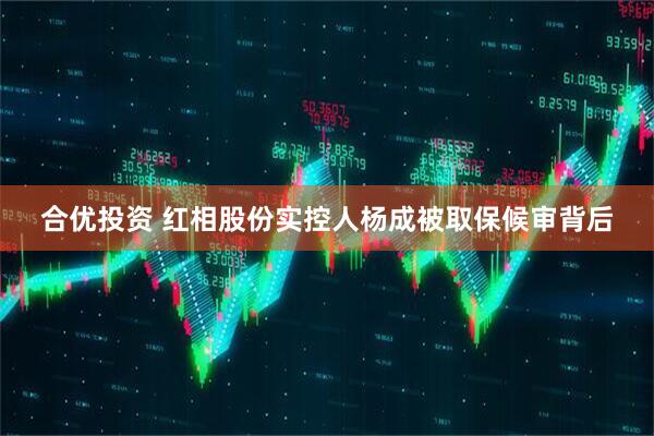 合优投资 红相股份实控人杨成被取保候审背后
