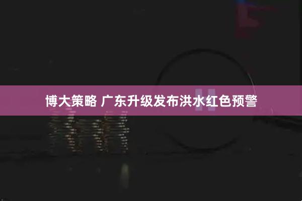 博大策略 广东升级发布洪水红色预警