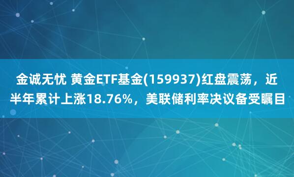 金诚无忧 黄金ETF基金(159937)红盘震荡，近半年累计上涨18.76%，美联储利率决议备受瞩目