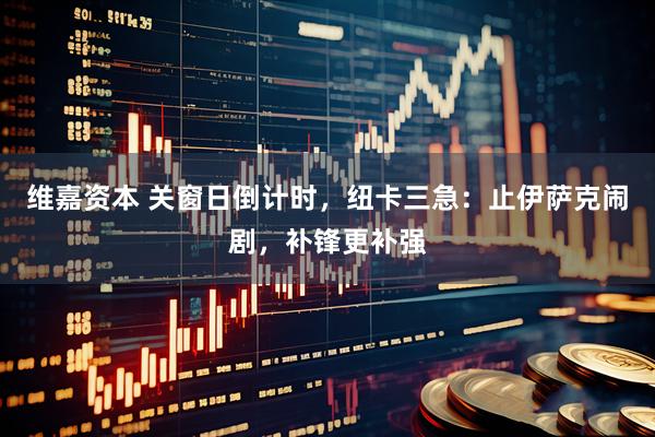 维嘉资本 关窗日倒计时，纽卡三急：止伊萨克闹剧，补锋更补强