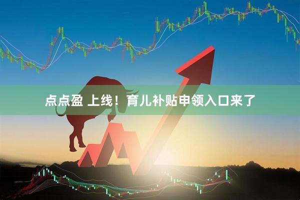 点点盈 上线！育儿补贴申领入口来了
