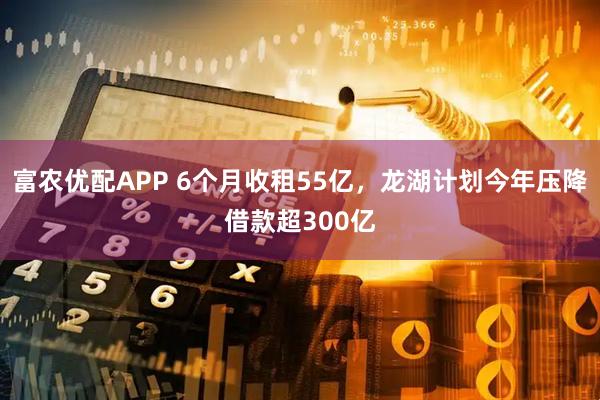 富农优配APP 6个月收租55亿，龙湖计划今年压降借款超300亿