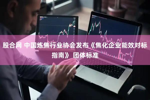 股合网 中国炼焦行业协会发布《焦化企业能效对标指南》 团体标准
