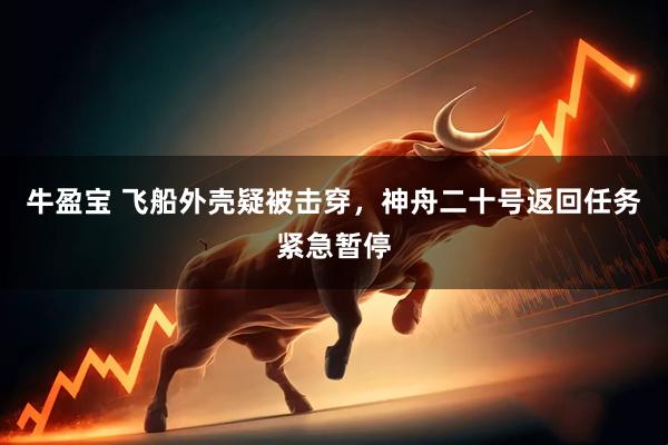 牛盈宝 飞船外壳疑被击穿,神舟二十号返回任务紧急暂停