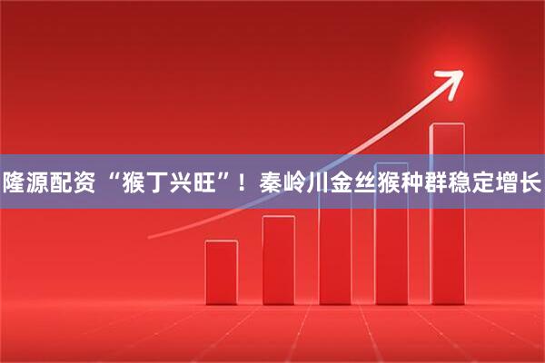 隆源配资 “猴丁兴旺”!秦岭川金丝猴种群稳定增长